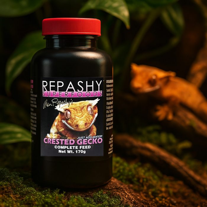 Crested gecko beside Repashy Crested Gecko Diet 170g jar