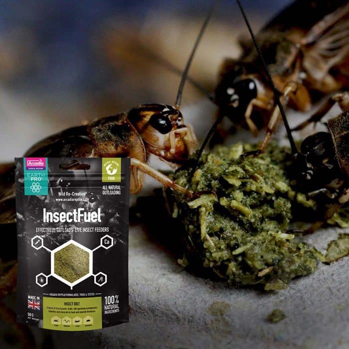 Arcadia EarthPro Insect Fuel