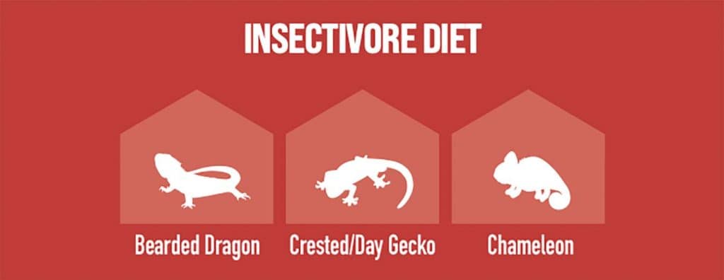 Arcadia EarthPro Insectivore Diet