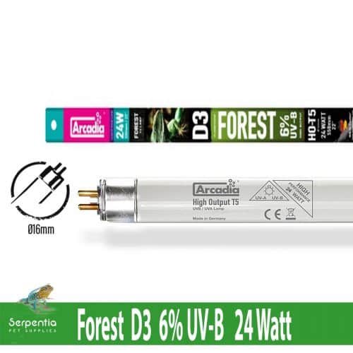Arcadia Reptile D3 UVB 6 Percent Replacement T5 Lamp Forest 24 watts