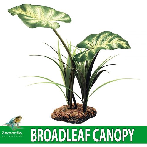 Komodo Broadleaf Canopy Artificial Plant For Vivarium Decoration 26cm