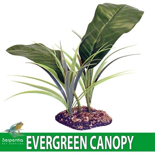 Komodo Evergreen Canopy Artificial Plant For Vivarium Decoration
