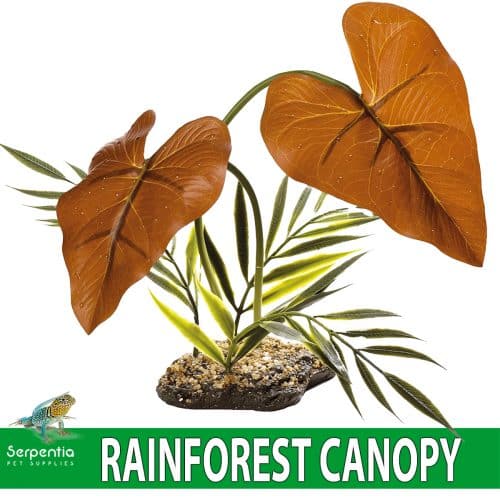 Komodo Rainforest Canopy Artificial Plant For Vivarium Decoration - Fake Plants for Decorating Reptile Vivariums