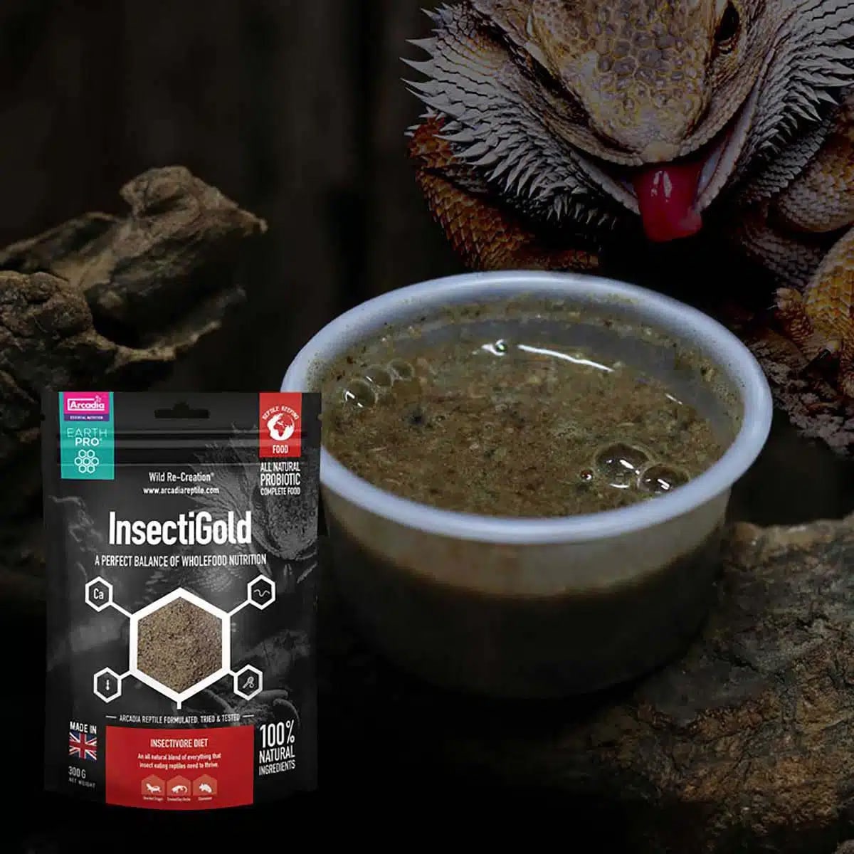 Arcadia Insecti-Gold 300g reptile food in a serving bowl with Bearded Dragon