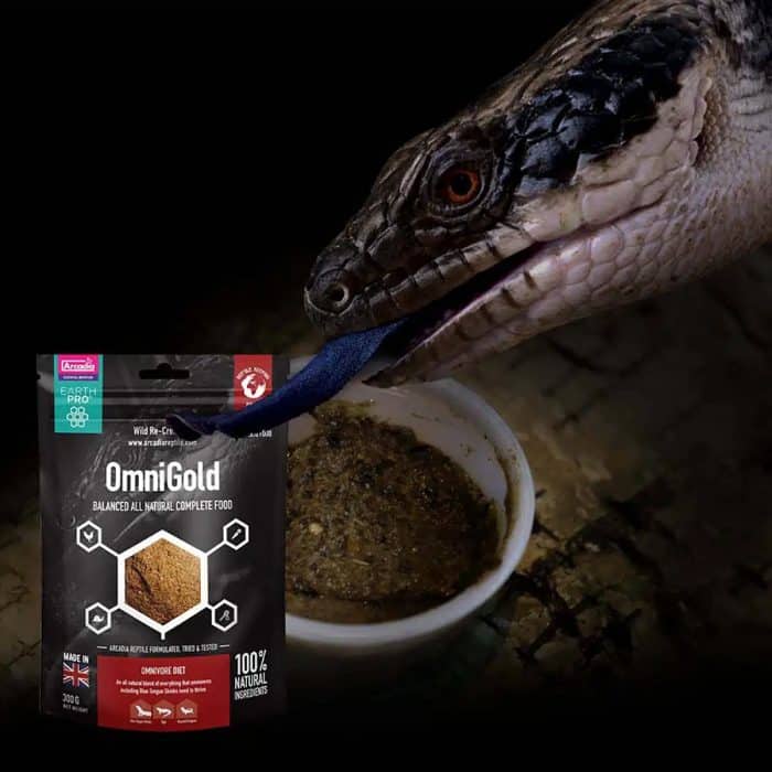 Arcadia EarthPro OmniGold 300g pouch with food mix in a feeding dish and a Blue Tongue Skink