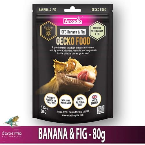 Arcadia SFG Banana & Fig Gecko Food 80g – complete omnivorous diet for Crested Geckos