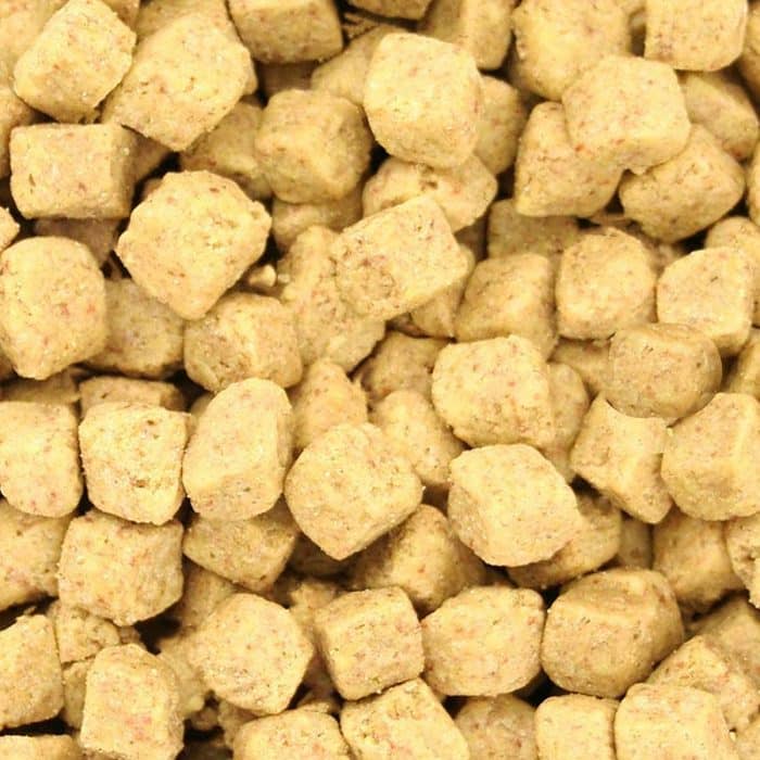 Close-up of Harrison’s Power Treats coarse organic parrot treat pieces.