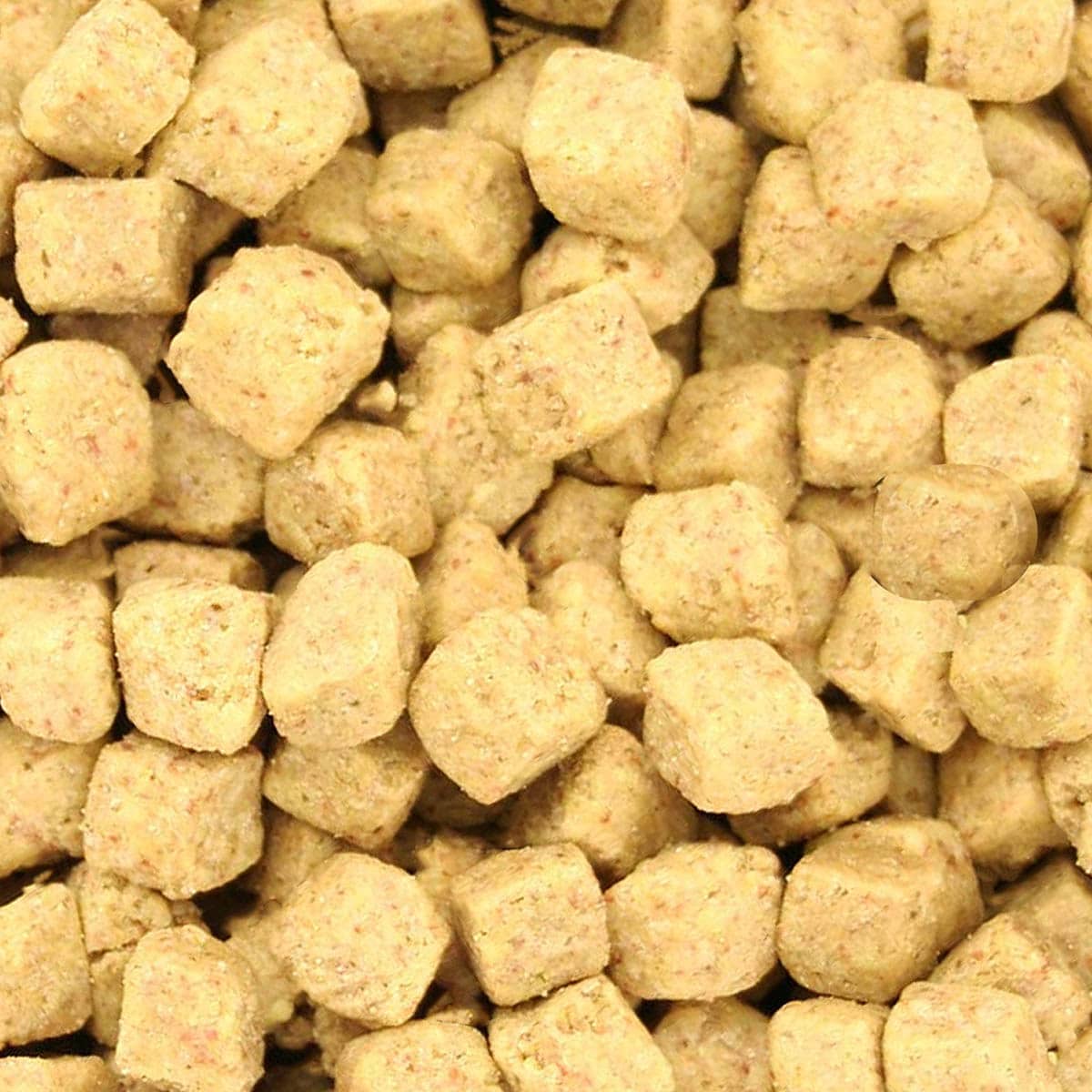 Close-up of Harrison’s Power Treats coarse organic parrot treat pieces.