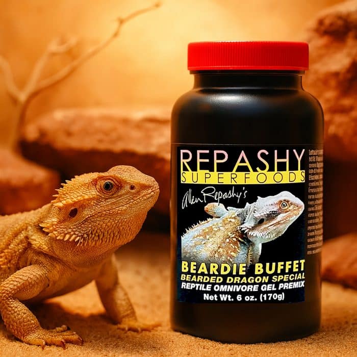Repashy Beardie Buffet 170g lifestyle image with reptiles and product jar