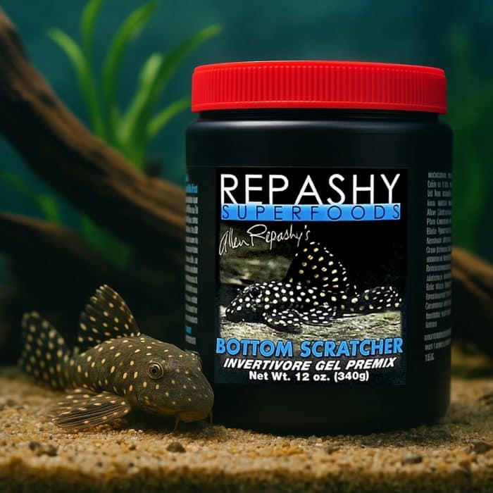 Repashy Bottom Scratcher 340g prepared gel fish food in bowl for plecos and catfish