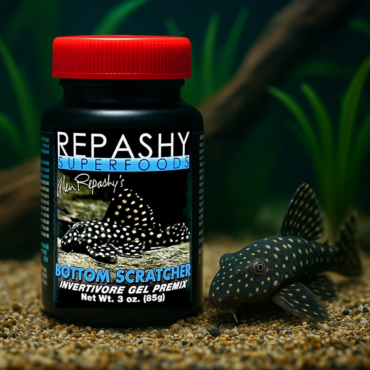 Repashy Bottom Scratcher 85g prepared gel fish food in bowl for plecos and catfish