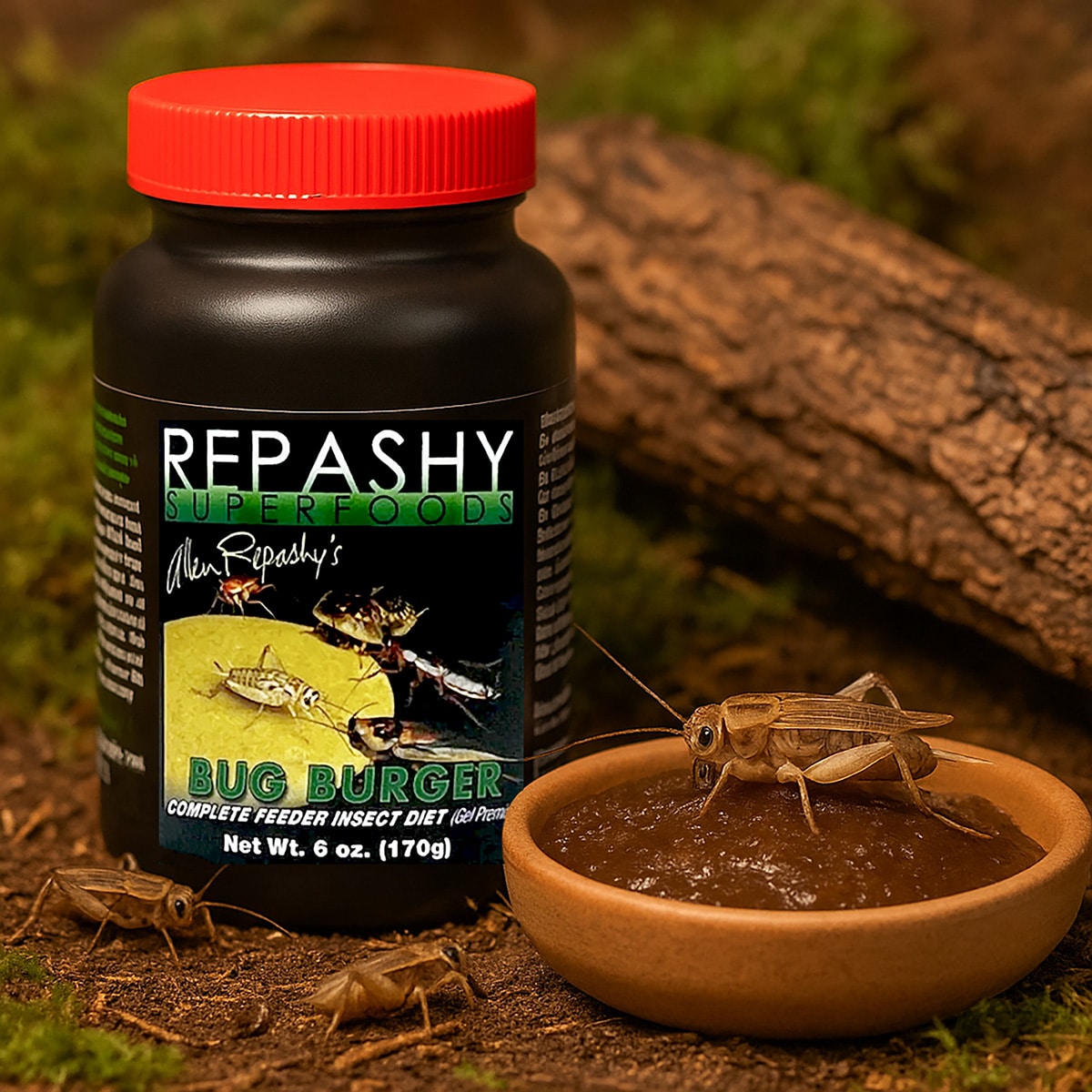 Repashy Bug Burger 170g gel diet being eaten by feeder insects