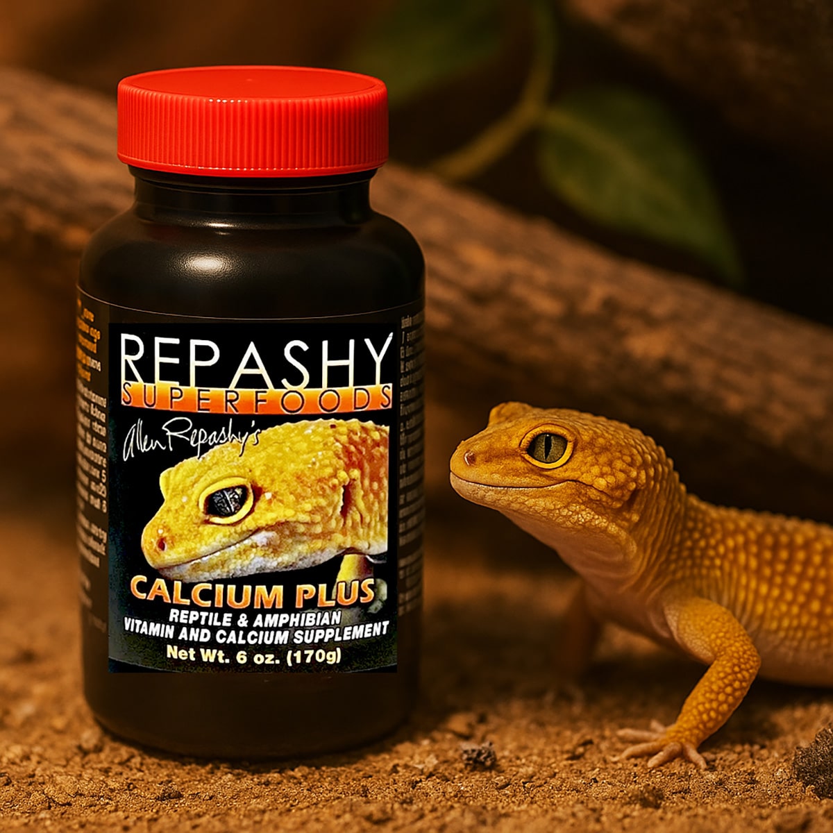 Leopard gecko with Repashy Calcium Plus 170g supplement in natural habitat