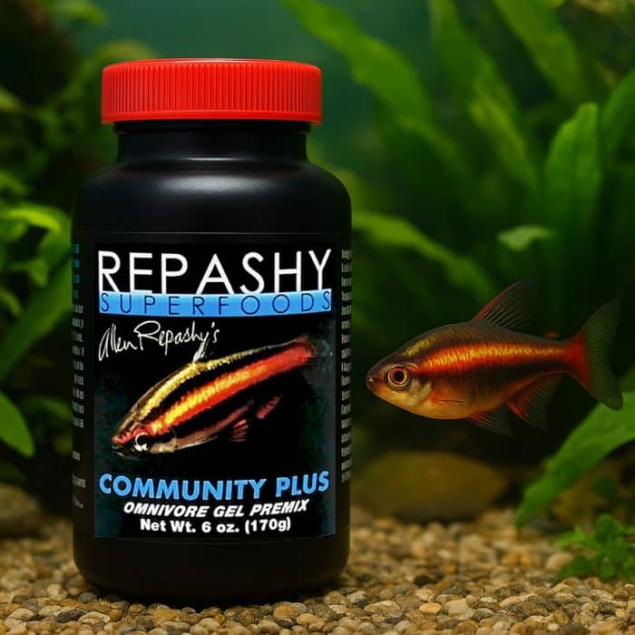 Tropical freshwater aquarium fish feeding in natural environment representing Repashy Community Plus gel food 170g