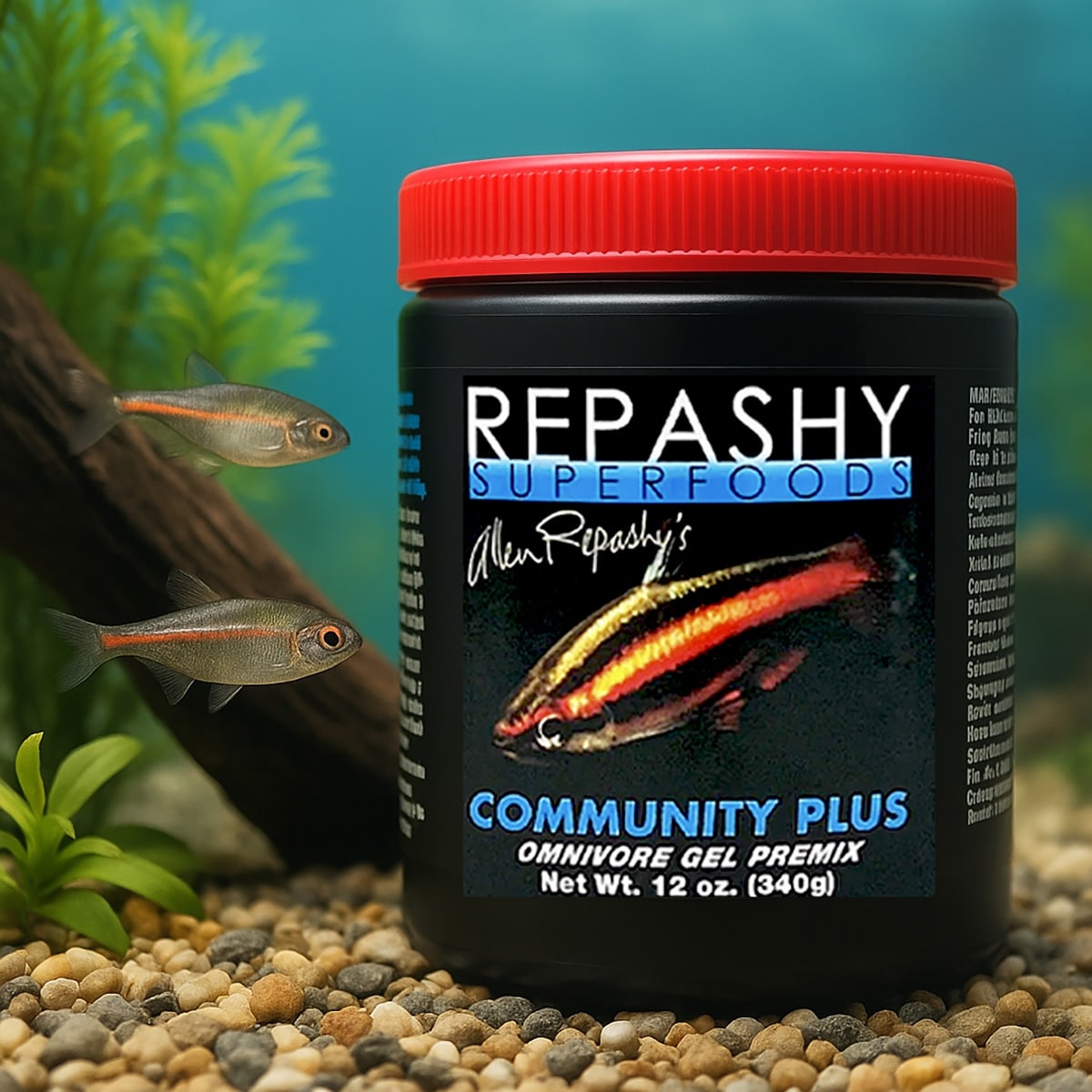 Tropical freshwater aquarium fish feeding in natural environment representing Repashy Community Plus gel food 340g