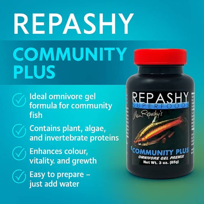 Repashy Community Plus 85g infographic highlighting key benefits of this omnivorous freshwater gel food for aquarium fish