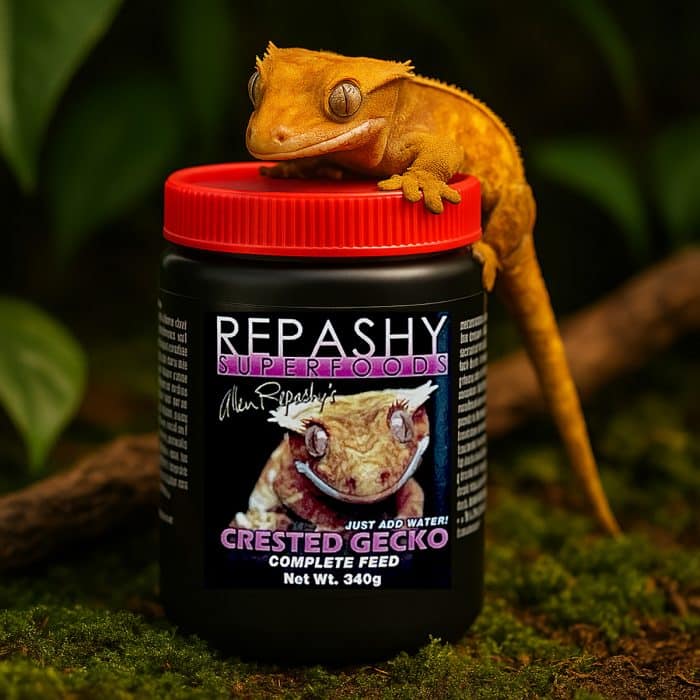 Crested gecko next to Repashy Crested Gecko Diet 340g jar