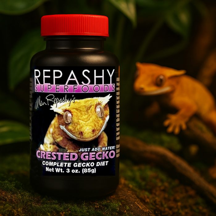 Crested gecko beside Repashy Crested Gecko Diet 85g jar