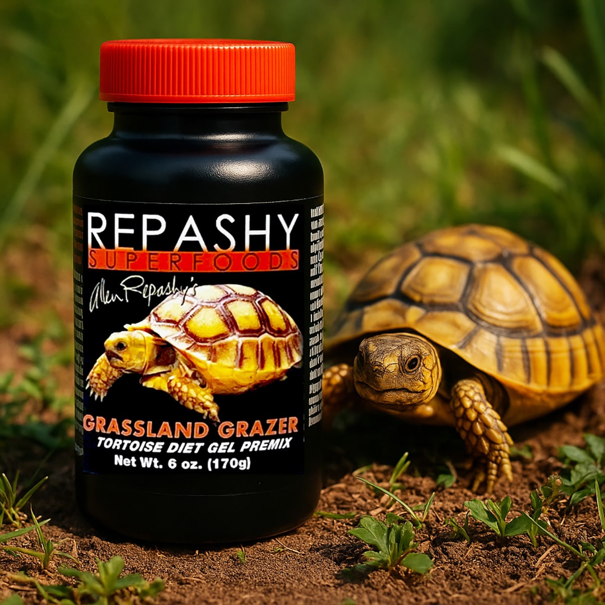 Repashy Grassland Grazer 170g lifestyle image with herbivorous reptiles and product jar
