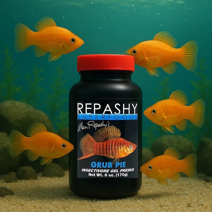 Repashy Grub Pie 170g prepared insect-based gel fish food for freshwater species
