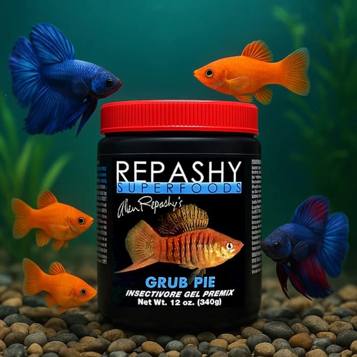 Repashy Grub Pie 340g prepared insect-based gel fish food for freshwater species