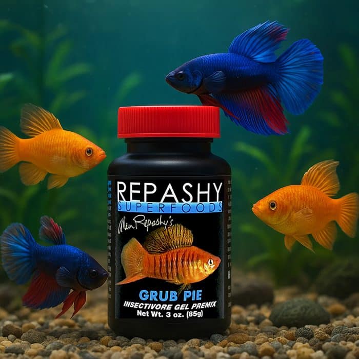 Repashy Grub Pie 85g prepared insect-based gel fish food for freshwater species