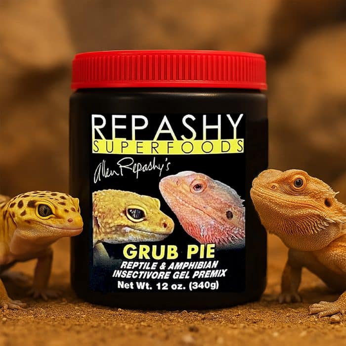 Repashy Grub Pie Reptile 340g lifestyle image with reptiles and product jar