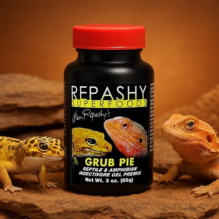 Repashy Grub Pie Reptile 85g lifestyle image with reptiles and product jar