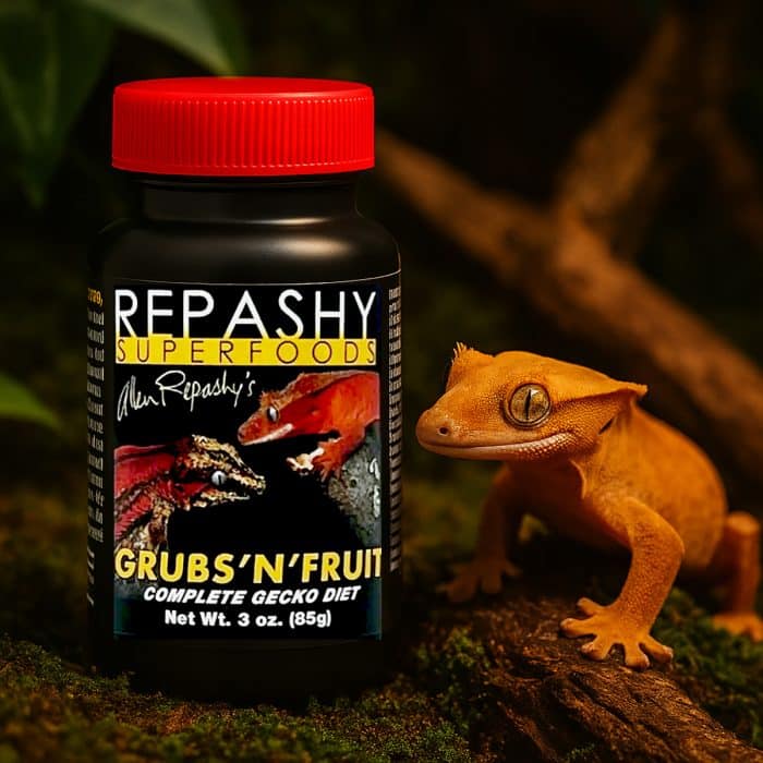 Crested gecko with Repashy Grubs N Fruit 85g jar