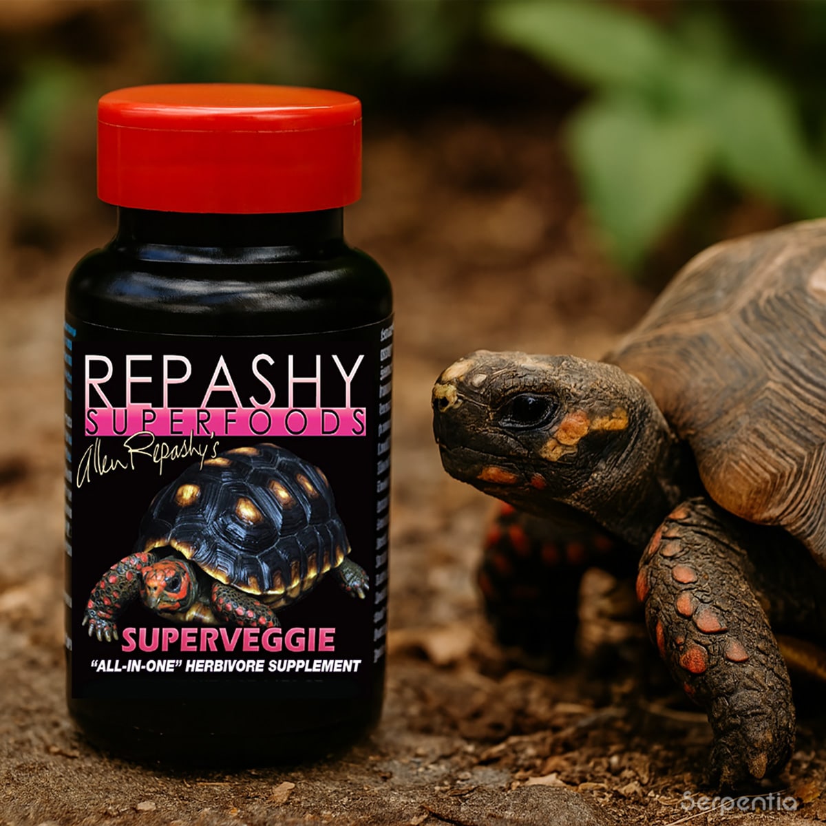 Red-footed tortoise beside a jar of Repashy Superveggie 85g herbivore supplement on a natural surface.