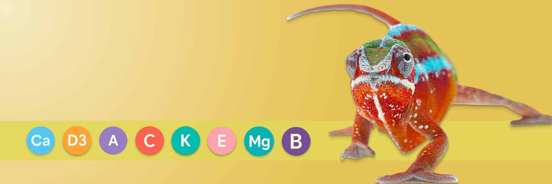 serpentia-all-in-one-supplements-hero-desktop Panther chameleon on warm yellow gradient with All-in-One vitamin icons for reptiles and amphibians.