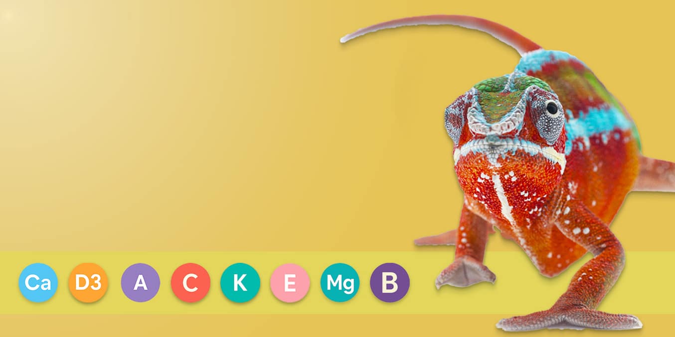 serpentia-all-in-one-supplements-hero-mobile Colourful panther chameleon with All-in-One reptile vitamins strip on warm yellow background.