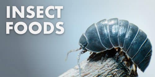 Insect and Custodian Foods