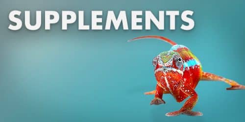 Reptile & Bird Supplements