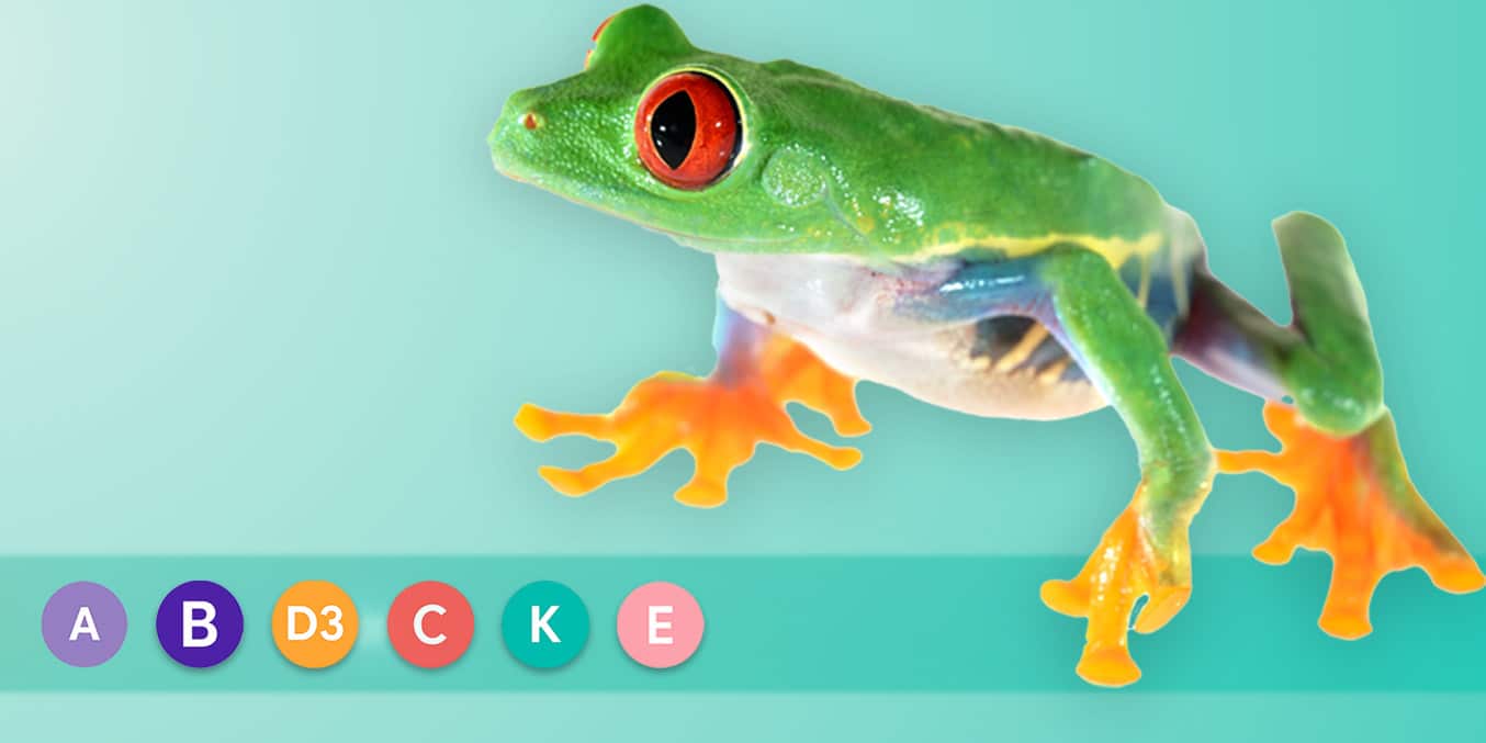Vitamin icons and red-eyed tree frog on an aqua gradient background – mobile Vitamin Supplements category hero.