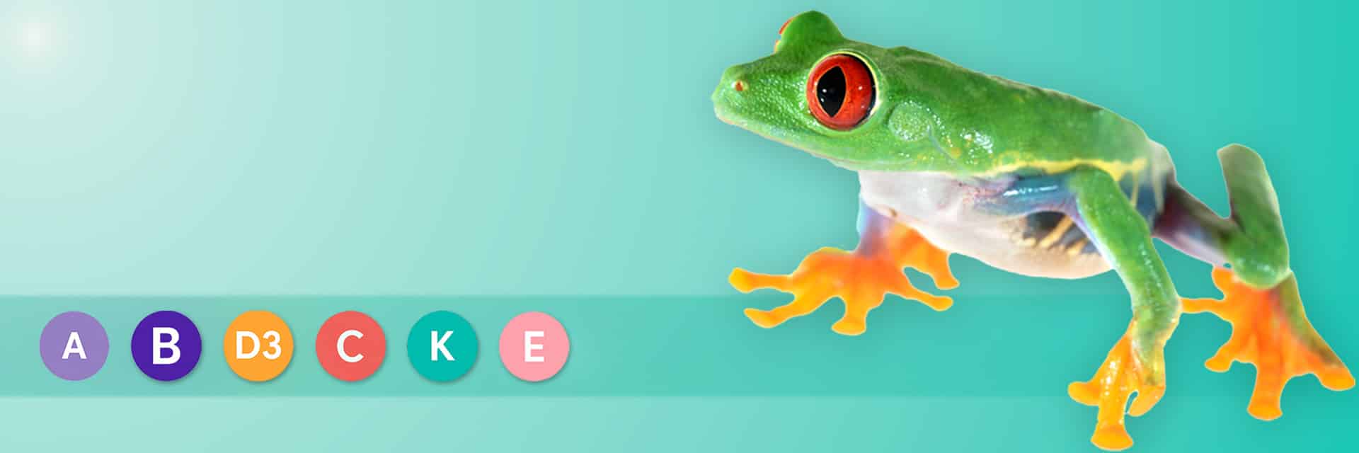 Green tree frog with colourful vitamin icons on aqua gradient background for Serpentia Vitamin Supplements category
