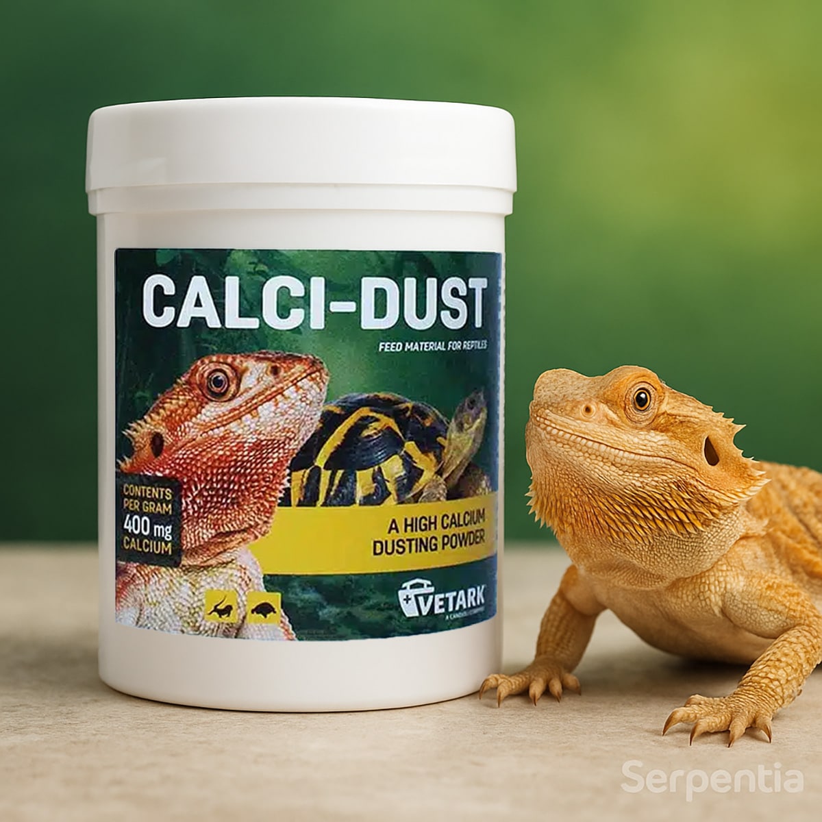 Bearded dragon next to a tub of Vetark Calci-Dust calcium powder on a natural surface with soft green background.
