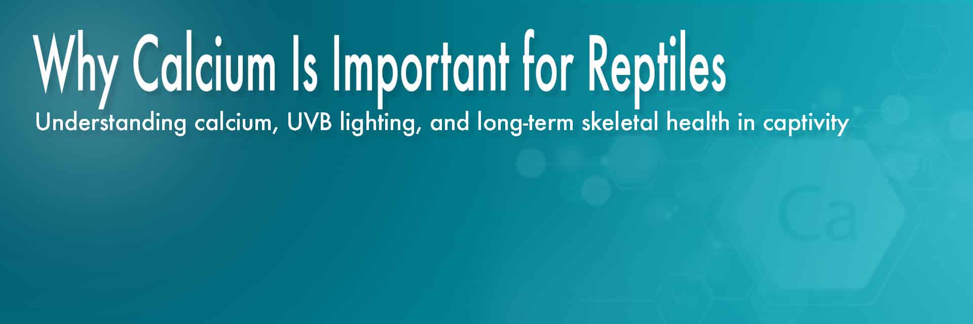 Understanding calcium, UVB lighting, and long-term skeletal health in captive reptiles