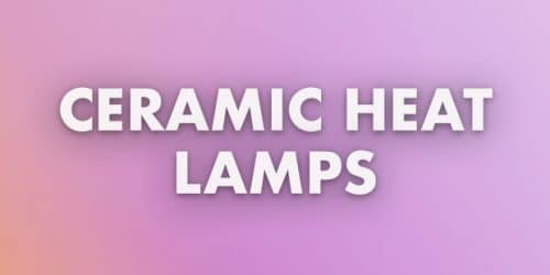 Ceramic Heat Lamps