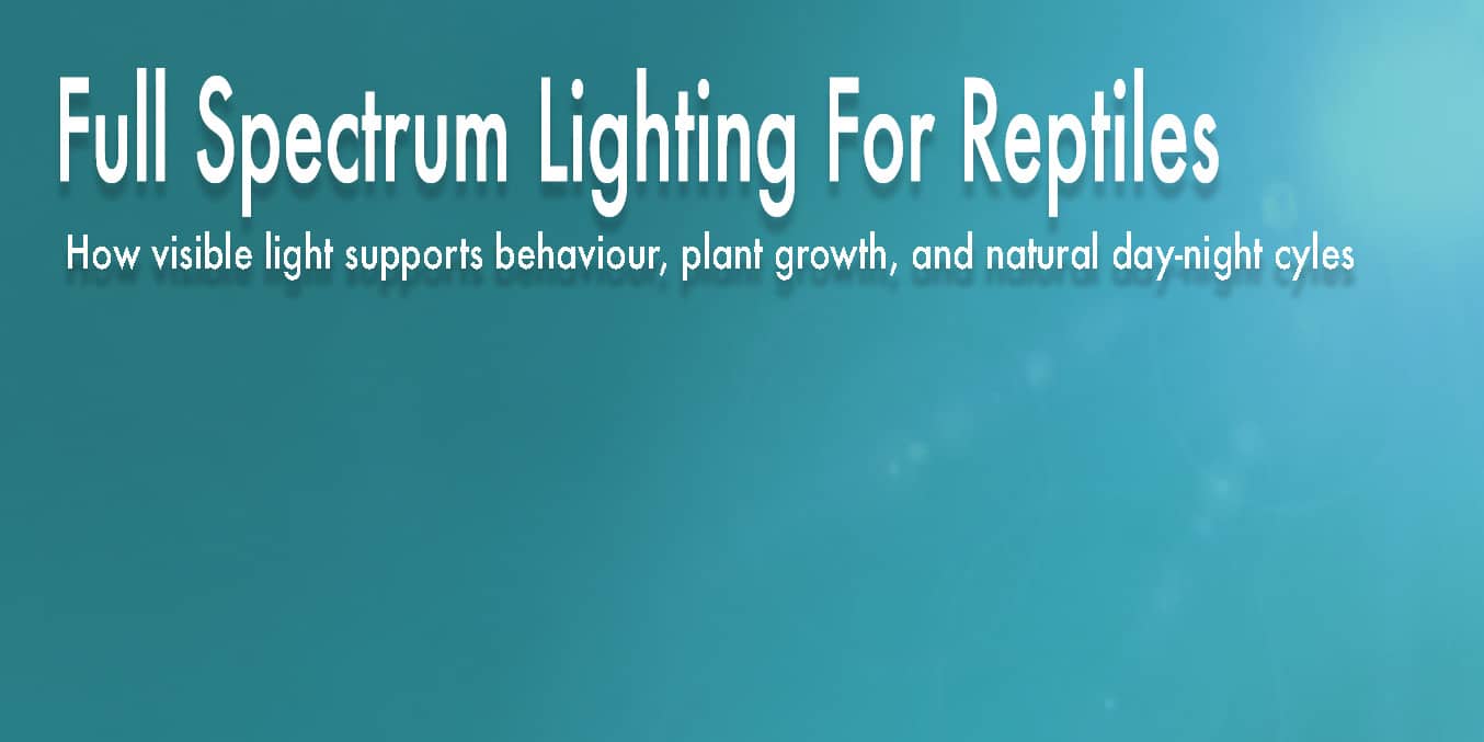 Full spectrum LED lighting for reptile vivariums supporting natural behaviour, plant growth, and day-night cycles.