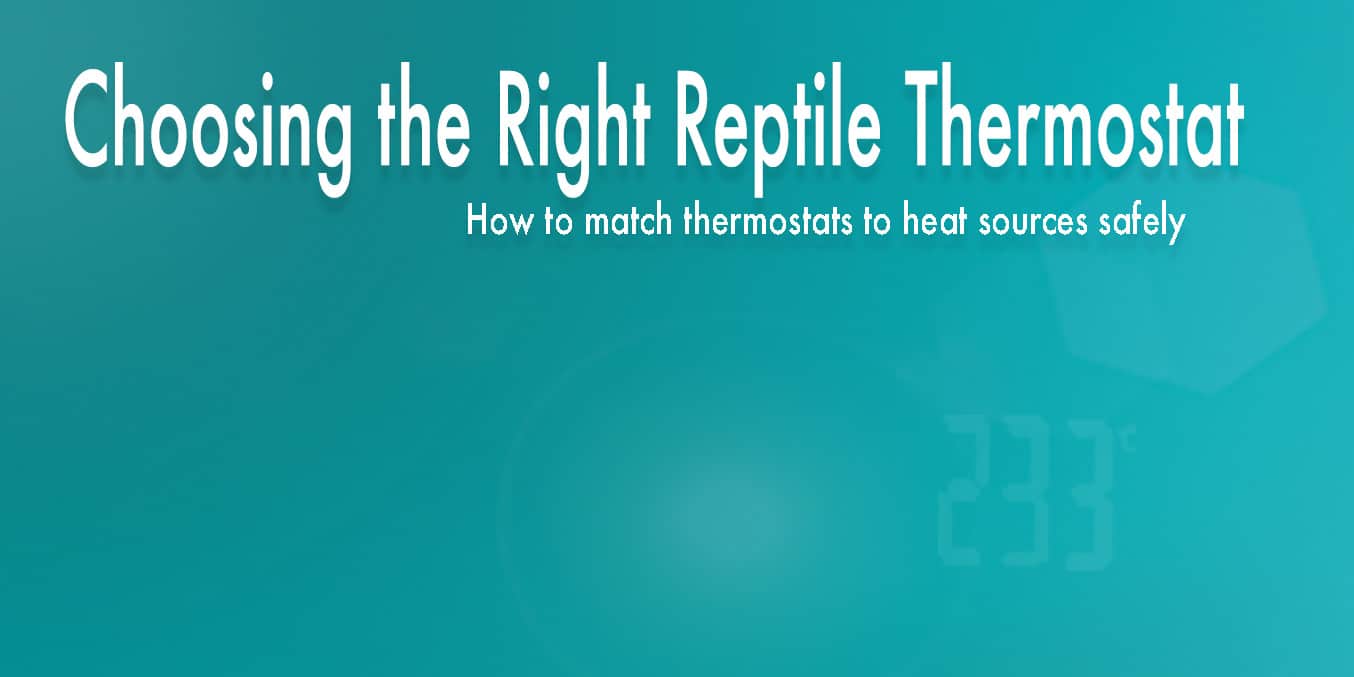Guide to safely matching reptile heat sources to the correct reptile thermostat