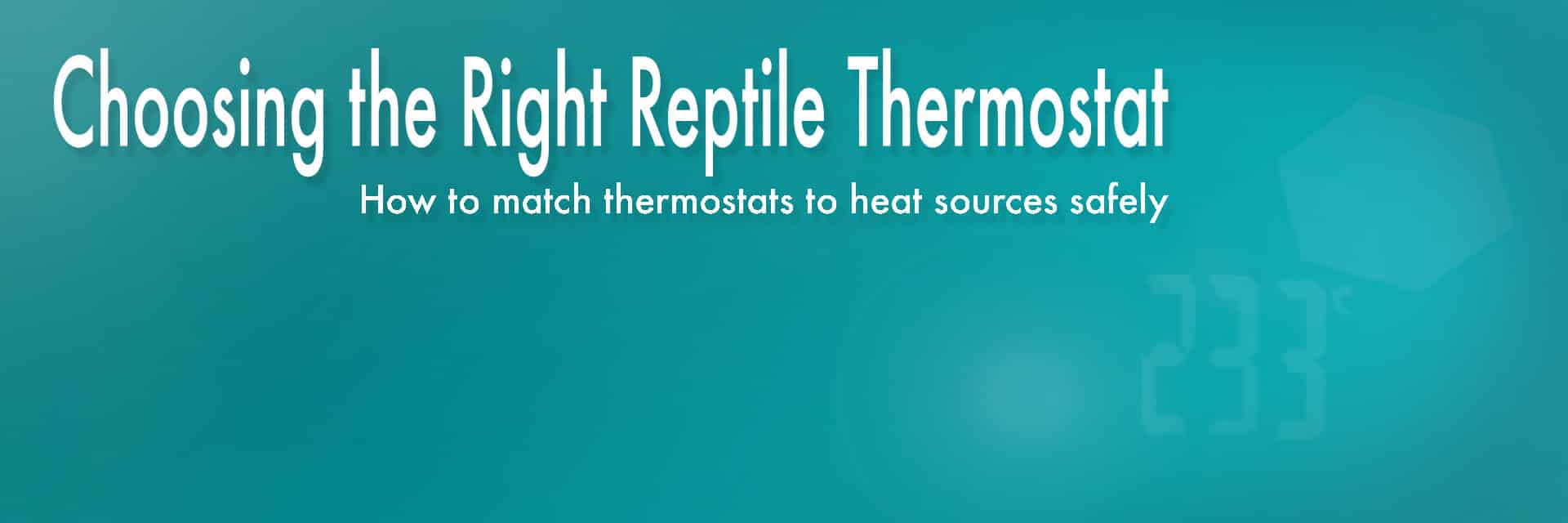 Guide to safely matching reptile heat sources to the correct reptile thermostat
