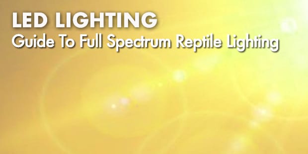 Detailed guide explaining full spectrum LED lighting for reptile vivariums supporting natural behaviour, plant growth, and day-night cycles.