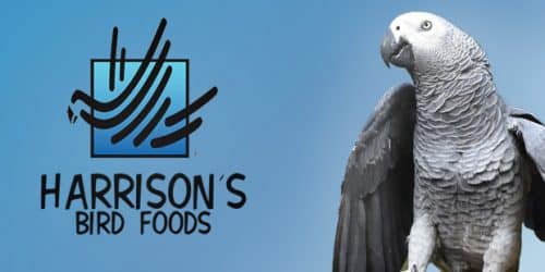 Harrison’s Organic Bird Foods