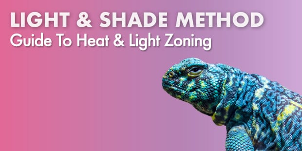 The Light and Shade Method showing UVB, heat, and light zoning for reptiles.
