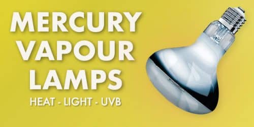 Mercury Vapour Lamps