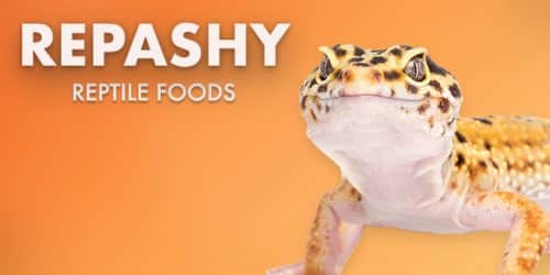 Repashy Reptile Foods