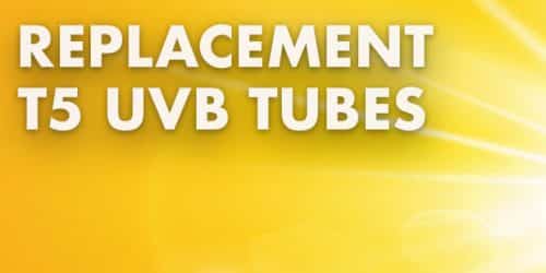 Replacement T5 UV Lamps