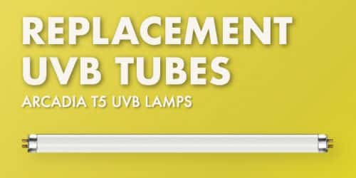 Arcadia T5 UVB Replacement Tubes