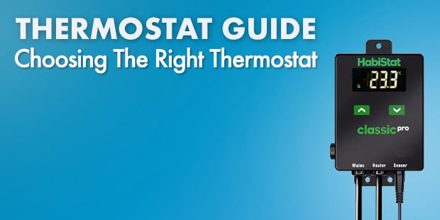 Thermostat guide to choosing the right reptile thermostat